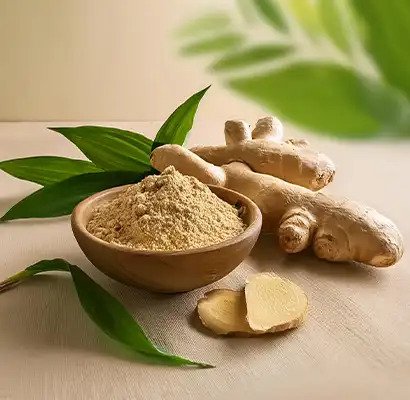 Spray-Dried & Root Powders
